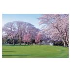 ゴルフ場利用券 桜の宮ゴルフ 楽部 ゴルフプレー補助券 900…