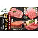 牛肉 ロース 6回定期便 くまもと黒毛和牛