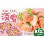 いちご 2027年1月~発送 ほんのりピンク