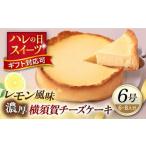 ケーキ カステラ チーズケーキ 横須賀チーズケーキ