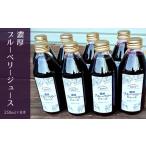 果汁飲料 ブルーベリー KB07 濃厚ブルーベリージュース 250…