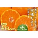 果物類 みかん 有田みかん 訳あり 1kg