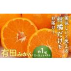 果物類 みかん 有田みかん1kgサイズ混合_AN6114