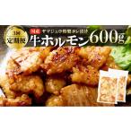 牛肉 ホルモン ヤマジュウの特製タレ漬け