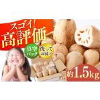 人参 大根 他根菜 2026年7月~発送 真空パック