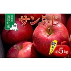 ふるさと納税 りんご 青森県 南部町 訳あり 青森県 南部町産 りんご サンふじ 約5kg 盛果園 青森りんご リンゴ 林檎 アップル あおもり 青森 南部町 三戸 南…