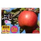 ふるさと納税 りんご 青森県 弘前市 りんご 13度糖度保証 贈答用 葉とらずふじ 約2.5kg