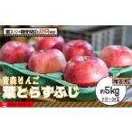 ふるさと納税 りんご 青森県 弘前市 りんご 12月発送 蜜入り & 13度糖度保証 贈答用 葉とらず ふじ 約 5kg 弘前市産 青森りんご 果物 フルーツ 食後 デザート…