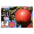 ふるさと納税 りんご 青森県 弘前市 25年12月発送 りんご 蜜入り 13度糖度保証 訳あり 家庭用 葉とらずふじ 約5kg