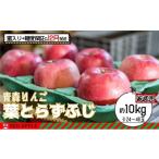 ふるさと納税 りんご 青森県 弘前市 りんご 12月発送 蜜入り & 13度糖度保証 家庭用 葉とらず ふじ 約 10kg 弘前市産 青森りんご 果物 フルーツ 食後 デザー…