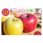 ふるさと納税 りんご 青森県 弘前市 25年12月発送 りんご 13度糖度保証 訳あり 家庭用 蜜入り 葉とらずふじ&王林 約10kg