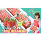 ふるさと納税 いちご 茨城県 鉾田市 やよいひめ いちご やよいひめ 4パック 1120g | 選べる量と発送時期 (3月発送) | ステビア栽培 低農薬 大粒 完熟 甘い 苺…
