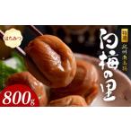 紀州南高梅使用 はちみつうす塩味完熟梅干し