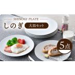 食器 グラス 大皿 波佐見焼 しのぎ 大皿5枚セット