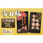 果物類 柿 市田柿 化粧箱 大粒厳選 3L