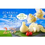 加工品等 チーズ よじゅえもんのニコニコチーズセット_