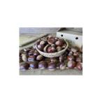 fu.... налог фрукты вид каштан Ibaraki префектура . древесный уголь ... город Ibaraki префектура . древесный уголь ... город производство ... person каштан ( сырой каштан ) примерно 2kg(2025 год 11 месяц средний ... последовательный отправка предположительно ) 1454975