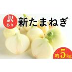 ふるさと納税 野菜類 玉ねぎ 愛媛県 愛南町 訳あり 新たまねぎ 5kg シルクオニオン 野菜 サラダ 玉ねぎ たまねぎ 新玉 スープ カレー サイズミックス 大小 傷 …