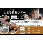 fu.... налог body . билет Okinawa префектура ......... налог гид Tour Night пляж живое существо . осмотр Tour ... остров примерно 1.5 час course 