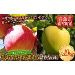 ふるさと納税 りんご 青森県 南部町  まだ間に合う 《訳ありの中の訳あり》 葉とらずりんご詰め合わせ 約10kg 四戸農園 減農薬 有機肥料 青森りんご リンゴ 林…