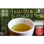 お茶類 緑茶 茶葉 ティーバッグ 新川製茶 うきはの山茶