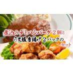 牛肉 ハンバーグ 煮込み デミグラス と うま塩