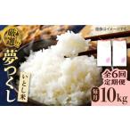 米 令和8年産 全6回定期便 いとし米 厳選夢つくし 10kg×6回