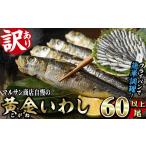 ふるさと納税 干物 イワシ 大分県 佐伯市  訳あり 黄金いわし (60尾以上) 黄金 いわし イワシ 丸干し 魚 海鮮 冷凍 おつまみ 小分け GX002 (有)マルサン商店