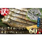 ふるさと納税 干物 イワシ 大分県 佐伯市  訳あり 佐伯市産真いわしと黄金いわし 食べ比べ (2種・60尾以上) 国産 大分県産 イワシ 黄金いわし 丸干し 魚 海鮮 …