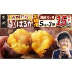 野菜類 サツマイモ 3回お届け 都城産 長期熟成紅はるか 5kg