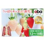 ふるさと納税 いちご 茨城県 水戸市  12月中旬より順次発送 数量限定 茨城県オリジナル品種『いばらキッス』と希少なプレミアム白イチゴ『淡雪』紅白化粧箱一…