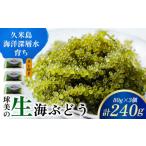 球美の”生”海ぶどう 100g×3個