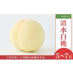 ふるさと納税 もも 岡山県 井原市  ご家庭用 岡山白桃 清水白桃 5〜7玉 2026年7月中旬頃から順次発送