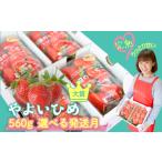 ふるさと納税 いちご 茨城県 鉾田市 やよいひめ いちご やよいひめ 2パック 560g | 選べる量と発送時期(2月発送) | ステビア栽培 低農薬 大粒 完熟 甘い 苺 …