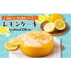 ケーキ カステラ フルーツケーキ レモンケーキ
