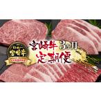 牛肉 ステーキ 宮崎牛 A4~A5等級 3ケ月定期便
