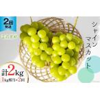 ぶどう マスカット シャインマスカット 1kg
