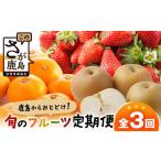 果物の詰合せ 定期便 3回 鹿島からお届け