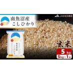 ふるさと納税 米 コシ