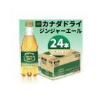 炭酸飲料 カナダドライジンジャーエール