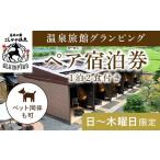 ふるさと納税 鹿児島県 霧島市 K-090《日〜木曜日限定》温泉旅館グランピングペア宿泊券 (1泊2食付・最大2名可・ペット同伴可)【こしかの温泉】鹿児島 霧島 旅…