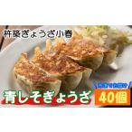 ふるさと納税 餃子 大分県 杵築市 杵築ぎょうざ小春の青しそぎょうざ 40個 冷凍 餃子 人気 国産 ぎょうざ ギョーザ 152-002_5