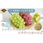 皮ごと食べられる 産ぶどう2種詰め合わせ