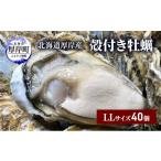 ふるさと納税 牡蠣 生牡蠣 北海道 厚岸町 北海道 厚岸産 殻付き 牡蠣 LLサイズ 40個 No.5863-1020