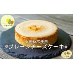 ショッピングチーズケーキ ふるさと納税 宮城県 蔵王町 プレーンチーズケーキ　【04301-0514】