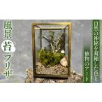 インテリア 風景 苔プリザ プリザーブド苔