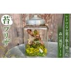インテリア レトロなお菓子瓶を使った森の風景アート