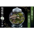 インテリア 地球瓶の苔プリザ アンティークガラス
