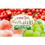 果物類 さくらんぼ 定期便3回 みのりの山形~満喫定期便~