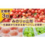 ふるさと納税 果物類 さくらんぼ 山形県 山形市  定期便3回 みのりの山形〜佐藤錦から始まる食べつくし定期便〜 令和8年産先行予約 FU23-708 くだもの 果物 フ…